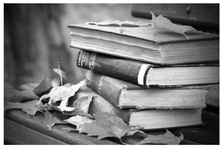 autunno-foglie-e-libri-in-bianco-e-nero
