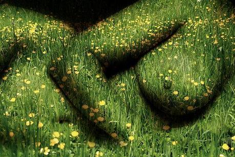 madre-terra-per-i-nativi-americani-L-B3L1fb