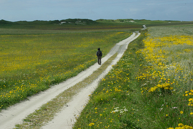 VIAGGIATORE SOLITARIO