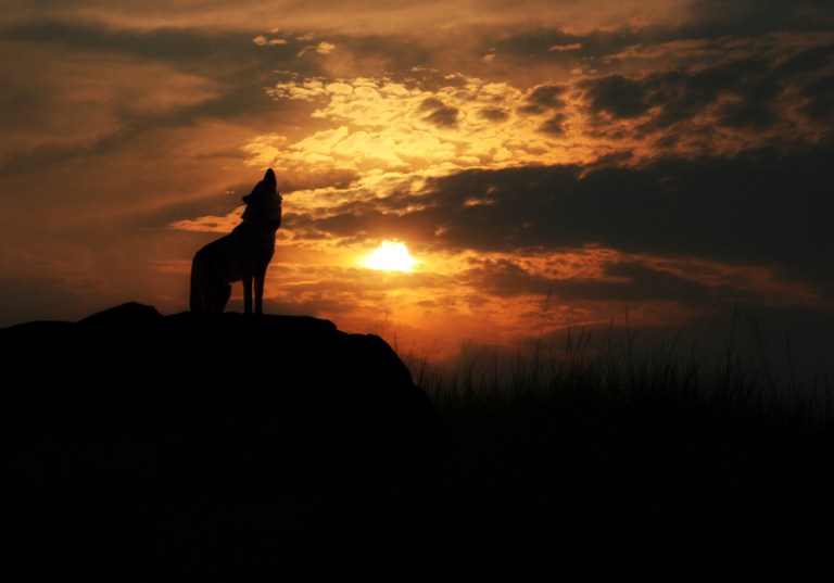 4eb31581822bee5ae1192b441185451b