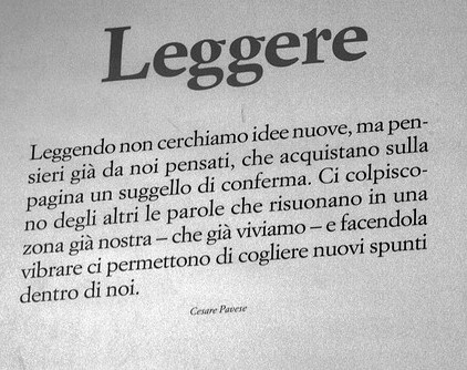 946ad4cf67c4ce9af27a505cee577aeb