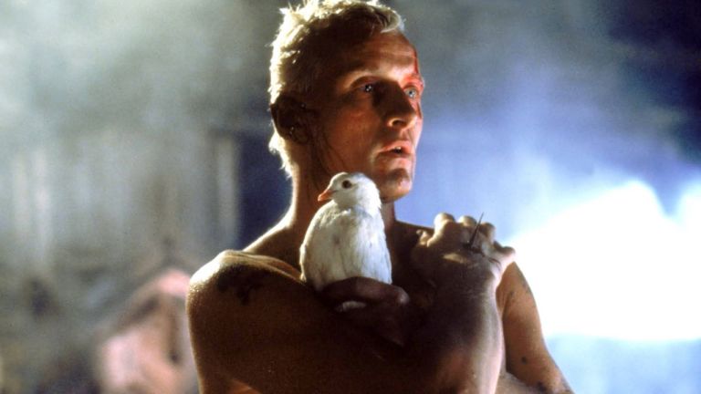 67877077_651388718604863_5687178114614951936_o